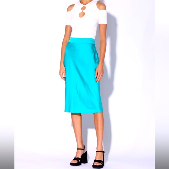 Women’s Walter Baker Daya Skirt- NWT - Picture 1 of 11
